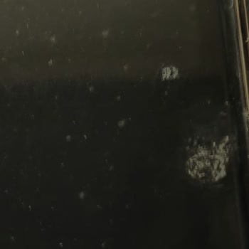 Renault Megane E-Tech Araçta Boya Sorunu Ve Müşteri Memnuniyetsizliği