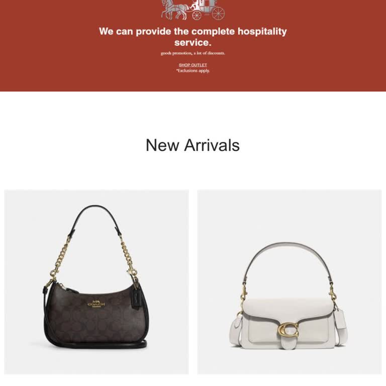 Coach-Bestellung nie angekommen – enttäuschende Erfahrung mit Online-Kauf