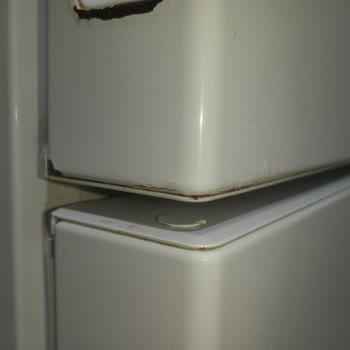 Samsung Buzdolabında Paslanma Ve Servis Mağduriyeti