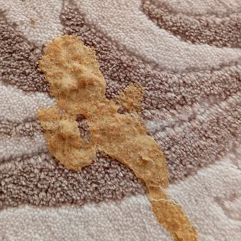 Nestle Purina Petcare Kedi Mamasında Sağlık Tehlikesi