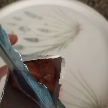 Nestle Purina Petcare Kedi Mamasında Sağlık Tehlikesi