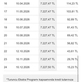 Onaylanan Krediyi Kullanamama Sorunu