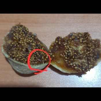 Bozuk Ve Küflü İncirler Sağlık Riski Taşıyor