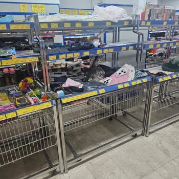 Market Raflarında Hijyen Sorunu: Kedilerin Gezinmesi