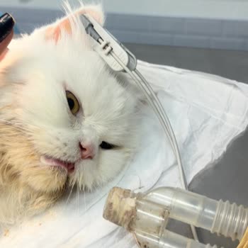 Ameliyat Sonrası Yaşanan İhmalkarlık Ve İletişimsizlik