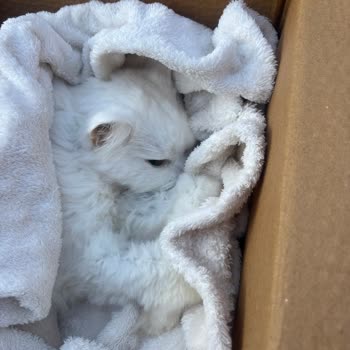 Ameliyat Sonrası Yaşanan İhmalkarlık Ve İletişimsizlik