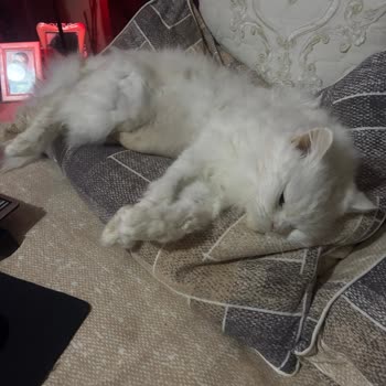 Ameliyat Sonrası Yaşanan İhmalkarlık Ve İletişimsizlik