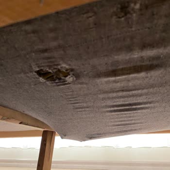 Vivense Ankara Plevne Mağazası: Kalitesiz Koltuk Takımı Hayal Kırıklığı