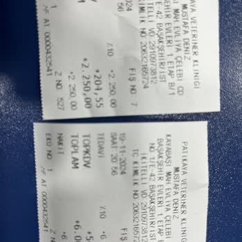 Veteriner Kliniğinde Yetersiz Tedavi Ve Aşırı Ücretlendirme