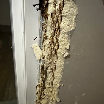 Zeray İnşaat'tan Aldığımız Evlerde Bitmeyen Sorunlar