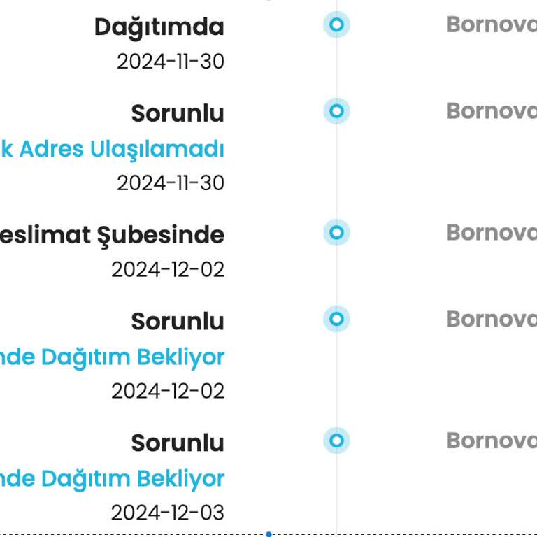Kargoist İzmir Bornova Şubesi Teslimat Sorunu