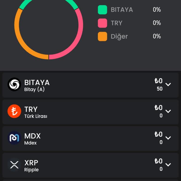 Bitay Hesabına Erişim Ve Cüzdan Sorunu