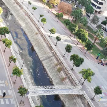 Balkon Manzarası: Çöp Kokusu Ve Çevre Kirliliği