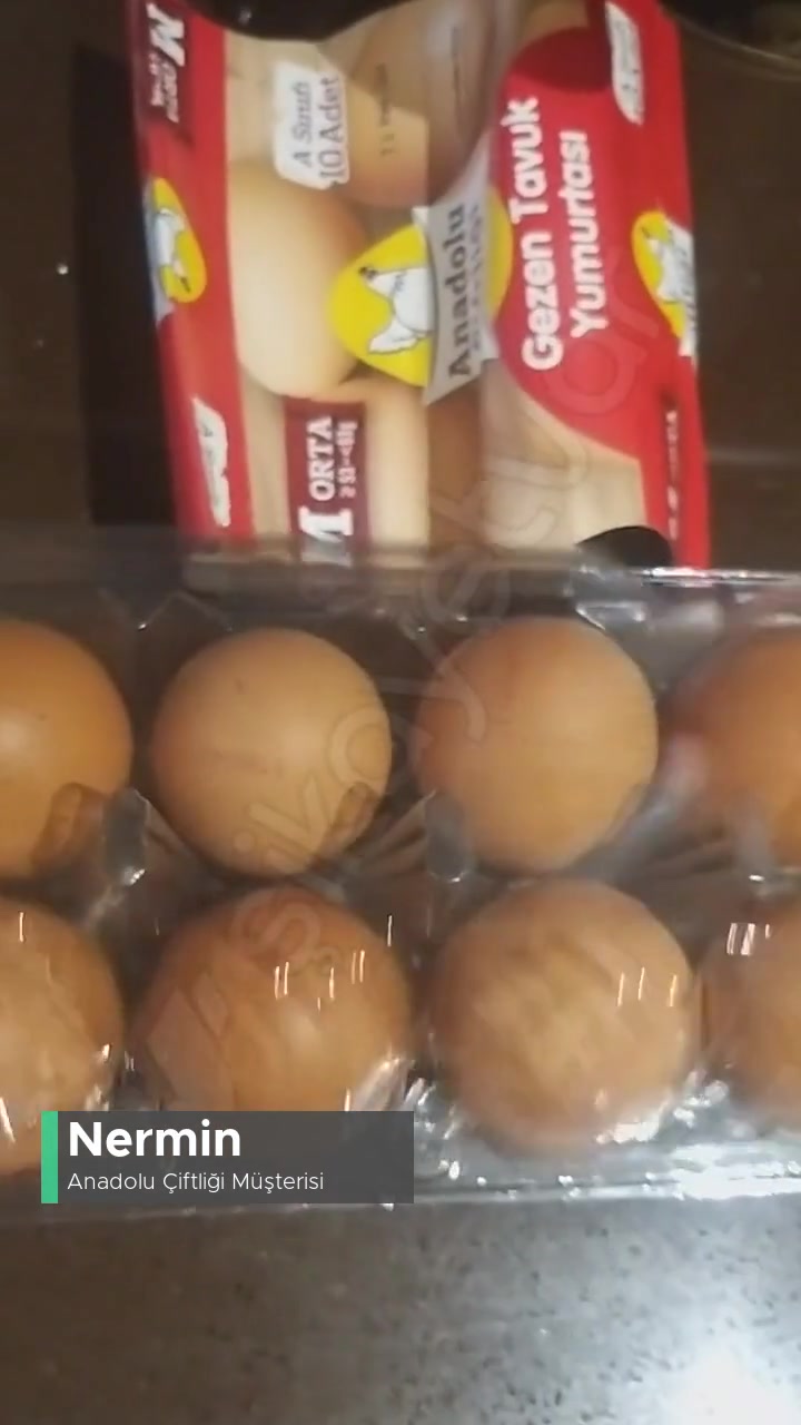 İçi Boş Yumurta Anadolu Çiftliği videonun kapak resmi