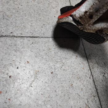 Spor Ayakkabıda Garanti Sorunu Ve Müşteri Memnuniyetsizliği