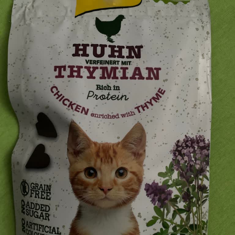 Kedime Verilen Hediye Mama Tehlike Saçıyor