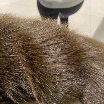 Stok Hatası Yüzünden Boşa Yapılan Yolculuklar