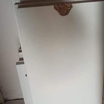 Hasarlı Yatak Odası Takımı Ve İletişim Sorunları