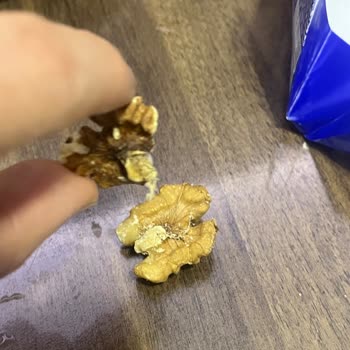 Ceviz İçinde Kurt Sorunu