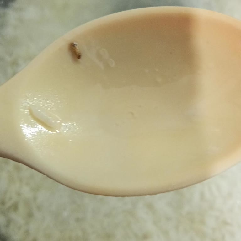 A101'den Aldığım Pirinçte Kurt Çıktı