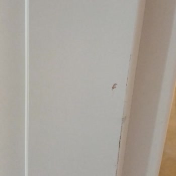 Hızlı Kurulumun Ardındaki Zararlar Ve Eksik Teslimat Sorunu