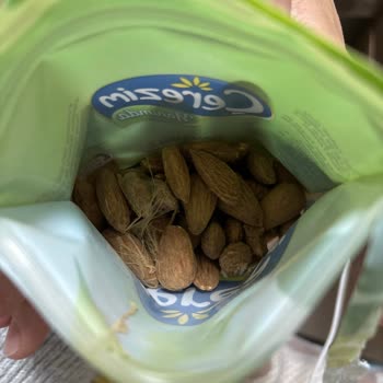 Taze Bademde Kurt Şoku: Güven Sarsılıyor