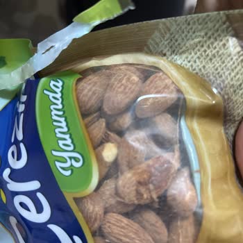 Taze Bademde Kurt Şoku: Güven Sarsılıyor