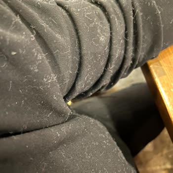 Zara Montumun Kürkleri Dökülüyor Ve Müşteri Hizmeti Umursamaz