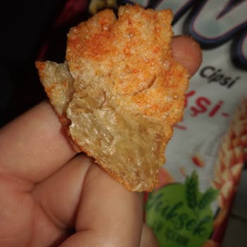 Üründe Kurt Problemi