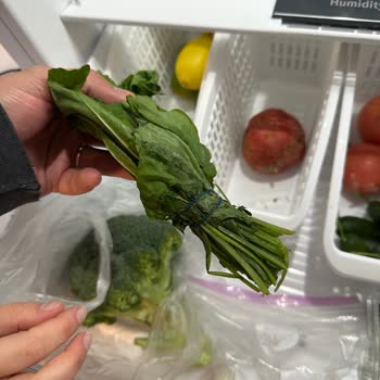 Bosch Refrigerator Freezes Vegetables Despite Multiple Service Visits and Repairs