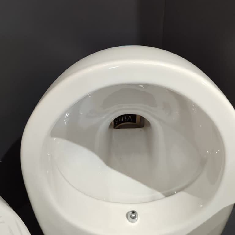 Vitra Klozetin Tasarım Hatası Ve Müşteri Hizmetleri Sorunu