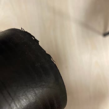 Zara Botlar İlk Gün Dağıldı!