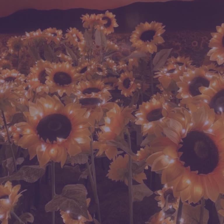 Проблема с коллажем: Pinterest фото не отображаются