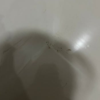 Bosch Servis Skandalı: Temizlik Kabusu