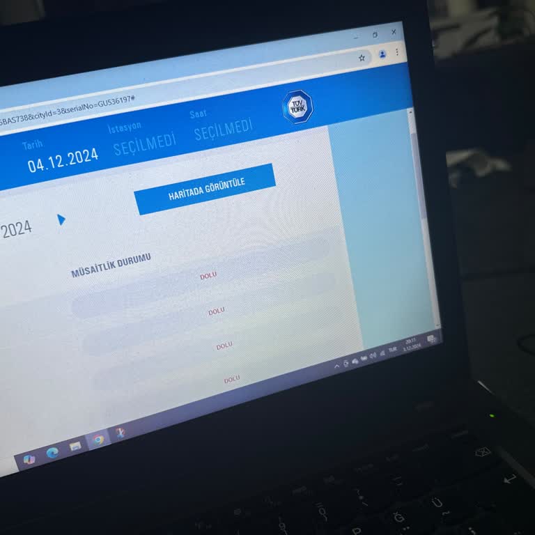 Araç Vizesi İçin Uzak Tarihler Ve Sıra Sorunu