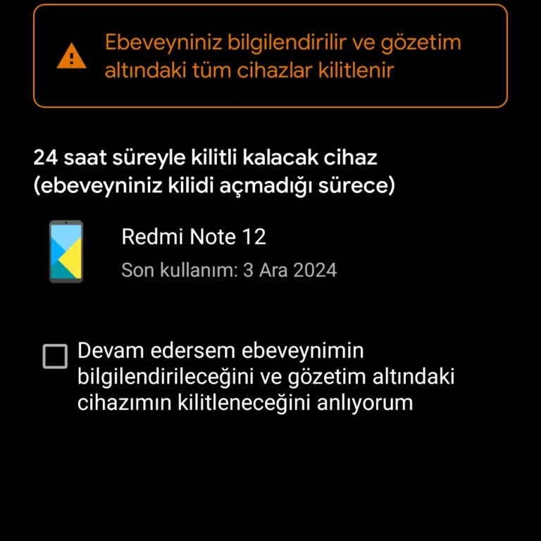 Google Family Link'in Yaş Sınırı Sorunu