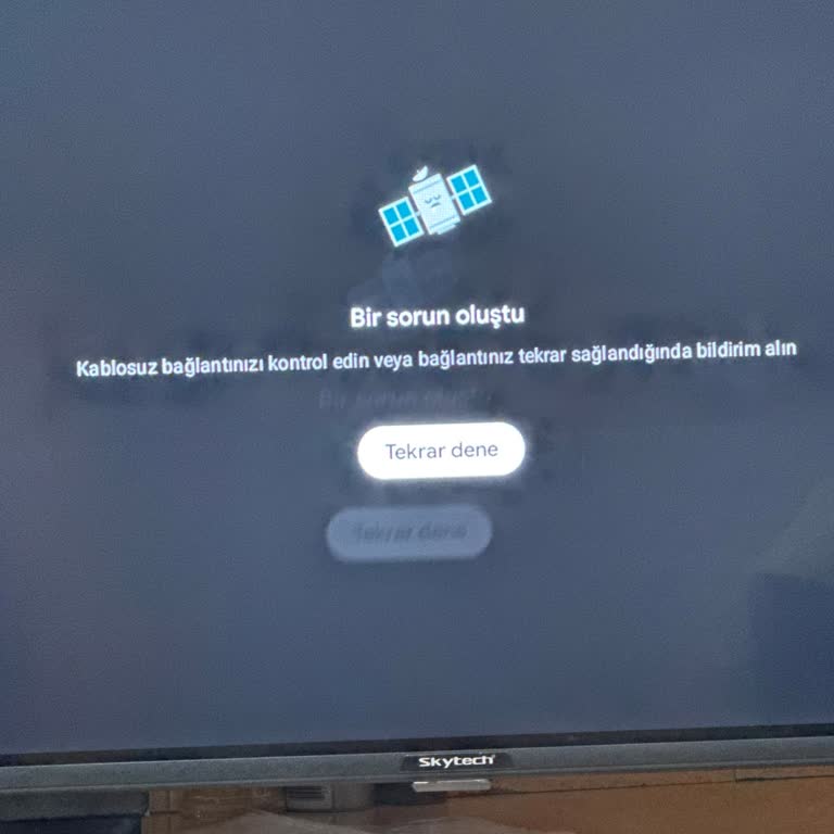 Skytech TV'de Google Play Ve Netflix Sorunu
