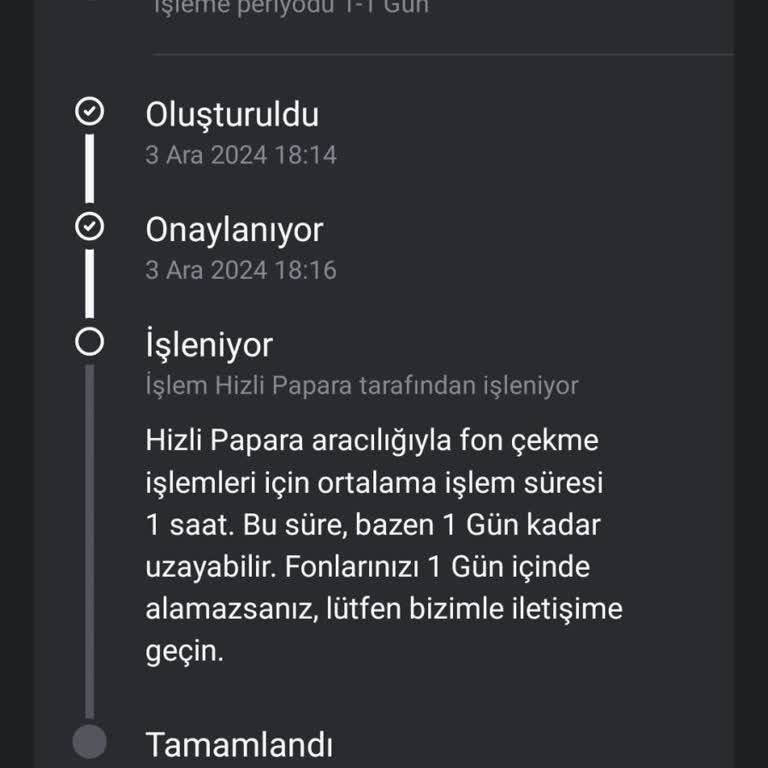 Para Yatırma Sorunu: Hesaptan Çekildi, Uygulamaya Geçmedi