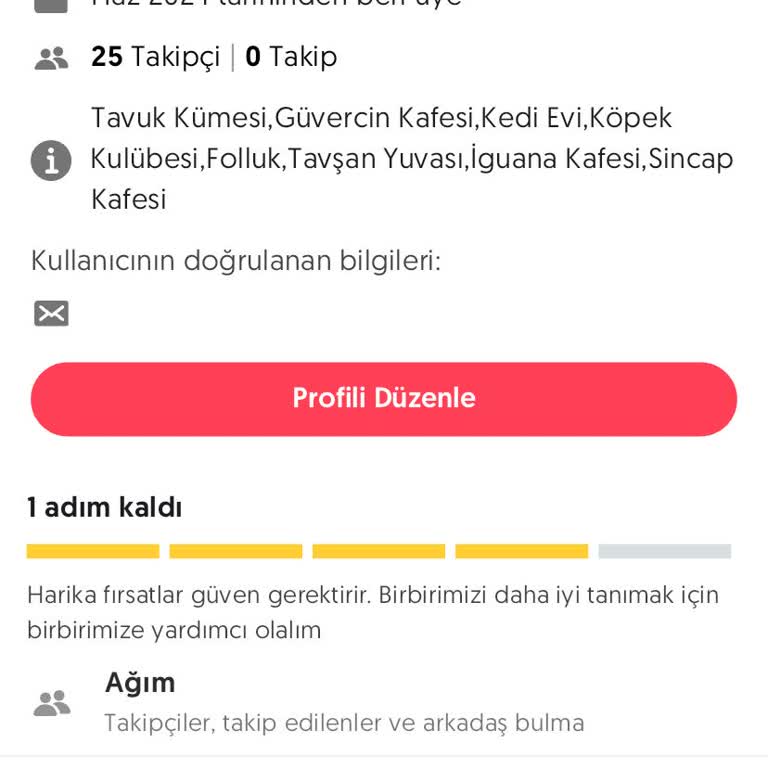 Letgo Uygulamasında İletişim Ve Güvenlik Sorunları