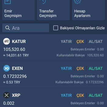 Bitexen Para İade Talebi
