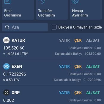 Bitexen Para İade Talebi