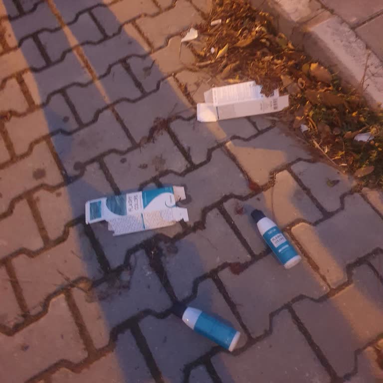Kargo Bahçeye Fırlatıldı, Sokak Köpekleri Parçaladı!