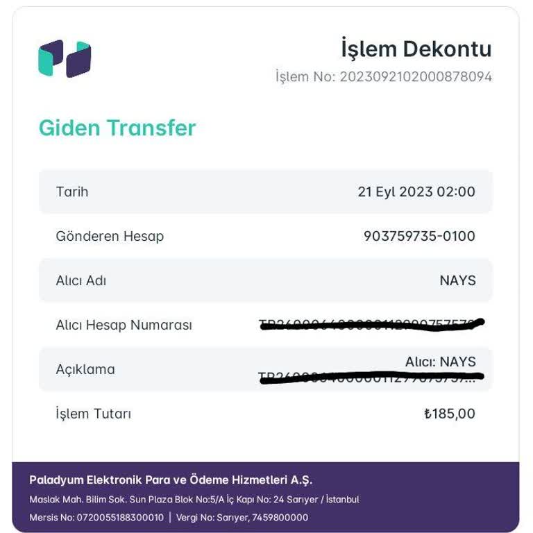 Nays Hesabına Geçmeyen Para Transferi Sorunu