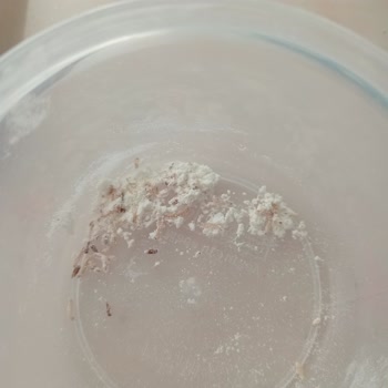 Un Paketinden Çıkan Kurt Şoku