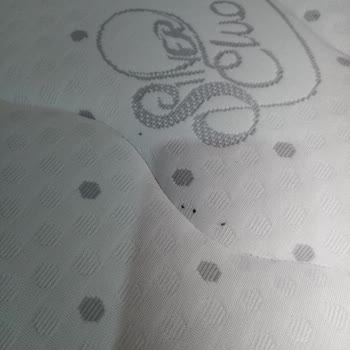 Modalife Yatak Odası Kabusu: Tahta Kurusu Ve Alerjik Reaksiyon