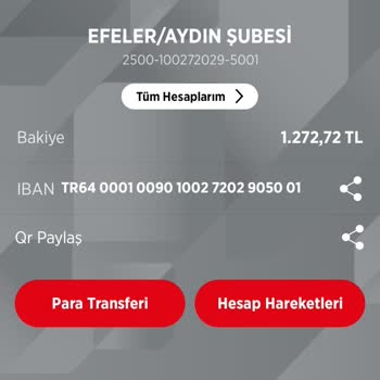İade Edilmeyen Para İçin Yardım Bekliyorum