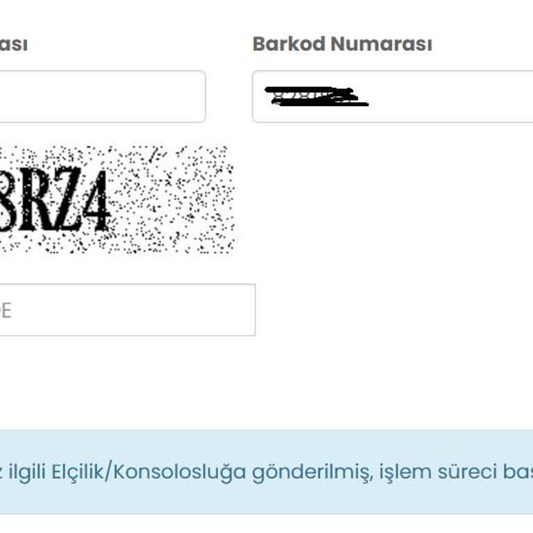 Vize Başvurumda Belirsizlik Ve Gecikme Sorunu