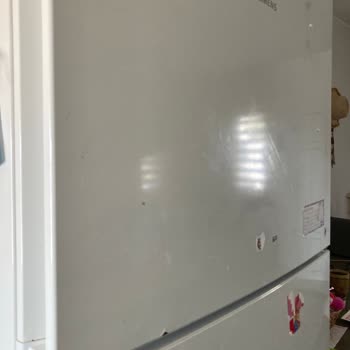 Siemens Buzdolabı Boyası Çürüme Sorunu