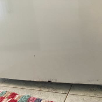 Siemens Buzdolabı Boyası Çürüme Sorunu