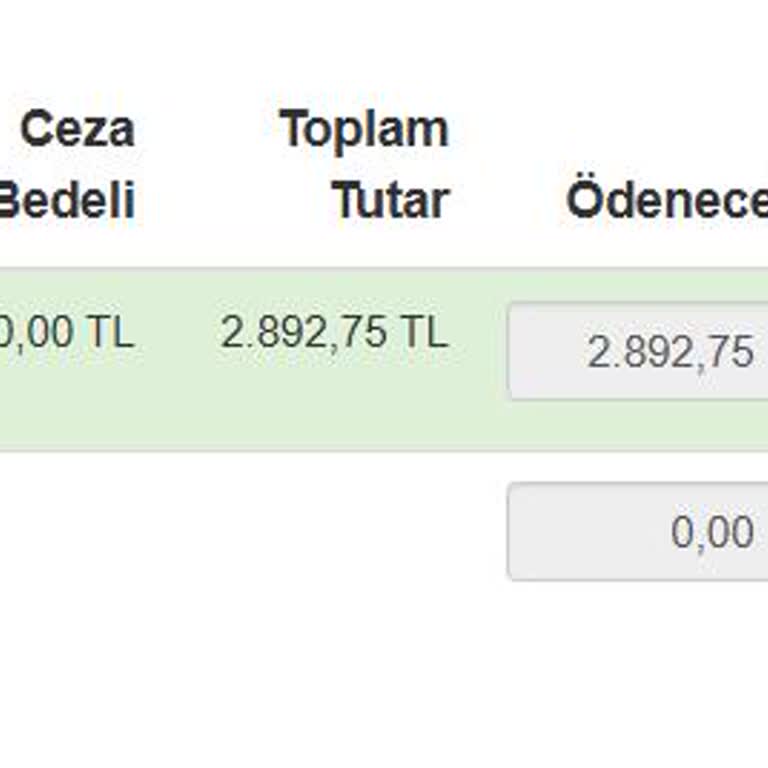 HGS Borç Bilgilendirmesi Eksikliği Ve Fahiş Ceza Ücreti